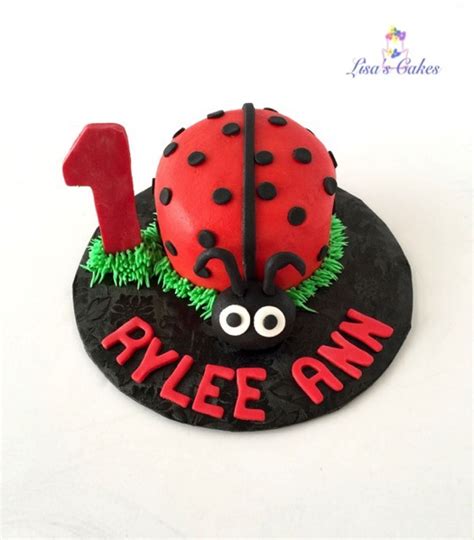 Ladybug Smash Cake - CakeCentral.com