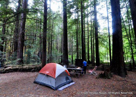 Camping among California's Redwoods at Humboldt Redwoods State Park