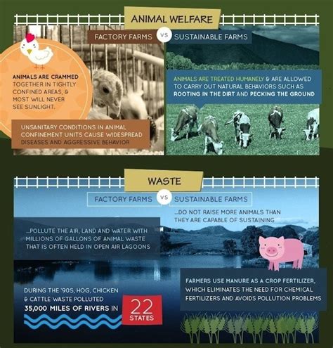 Factory Farming vs Sustainable Farming Infographic – Greener Ideal