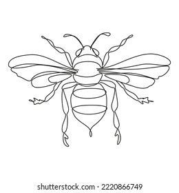 Black White Minimalist Line Art Bee Stock Vector (Royalty Free ...