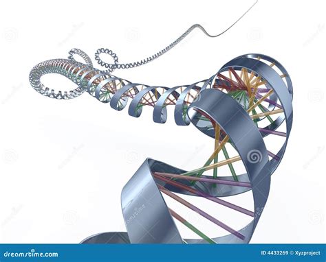 Dna spiral stock illustration. Illustration of chemistry - 4433269