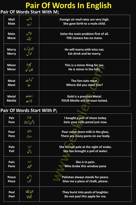 100 Pair Of Words With Meaning And Sentences - Seekhlein