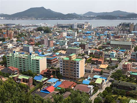 Hold Your Nose And Take A Bite: The Odd Appeal Of A South Korean Fish Dish | NCPR News