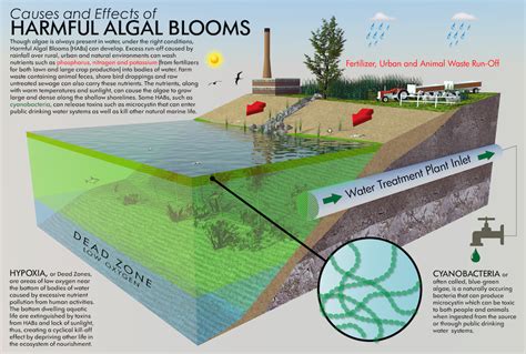 What Is A Dead Zone & How Are They Caused?