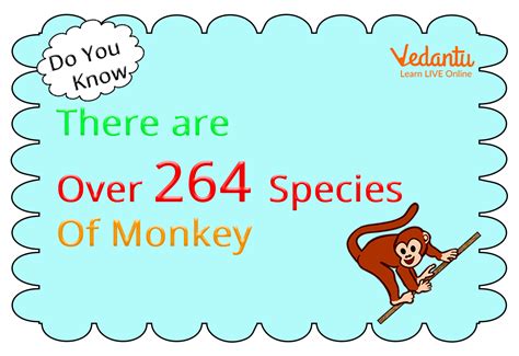 Interesting Facts About Monkeys for Kids