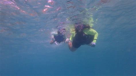 Snorkeling In Culebra, PR!!! Puerto Rico, Snorkeling, Beach, Diving, Scuba Diving