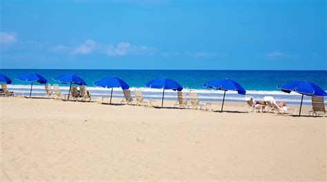 Hapuna Beach State Park Tours - Book Now | Expedia