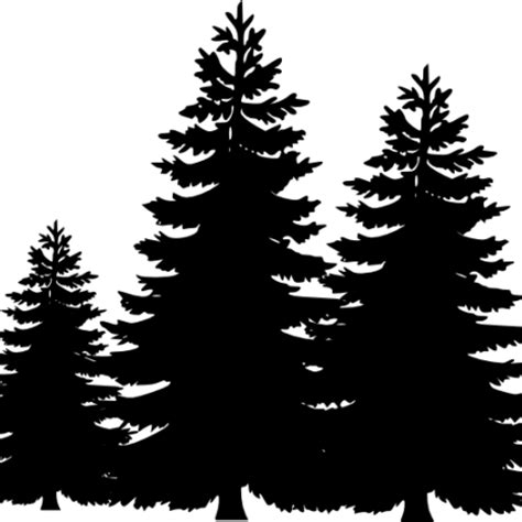 Download Pine Tree Clip Art Silhouette Cliparts Accent Wall - Pine Trees Silhouette Png ...