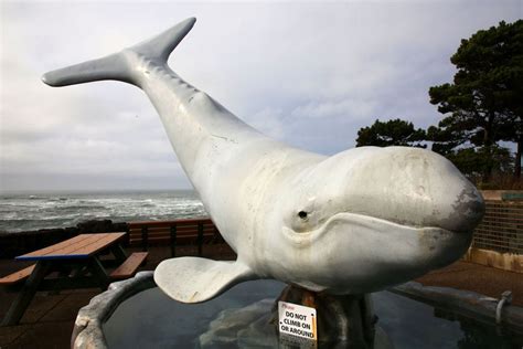 20 reasons to love Depoe Bay, whale watching capital of the Oregon coast - oregonlive.com