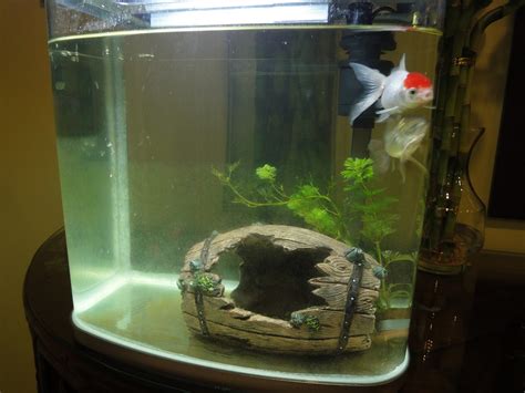 Riskywolf's Blog: Cleaning of my aquarium