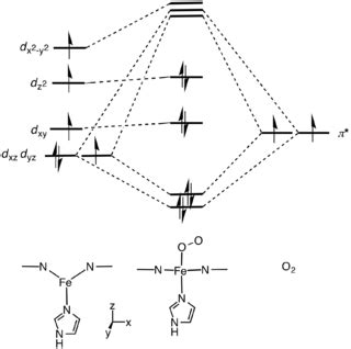 inorganic chemistry - Why is the iron(II) on the heme molecule depicted as having 6 electrons in ...