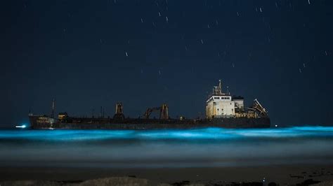 Viral News | Bioluminescent Waves Dazzle Surathkal Beach in Mangalore, See Pics & Videos | 👍 ...