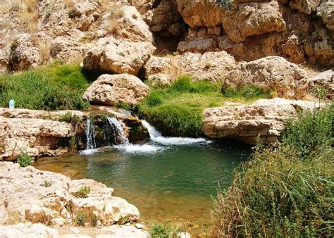 Ein Prat Nature Reserve, West Bank, Israel - GibSpain