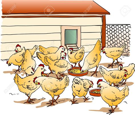 Poultry farm clipart 20 free Cliparts | Download images on Clipground 2024