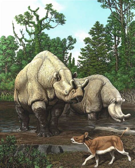 Eocene Epoch Animals | scene from the late Eocene of North America. The rhino-like animals ...