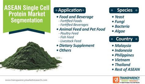 Single Cell Protein Market to Incur Rapid Extension During 2020-2030 - Digital Journal
