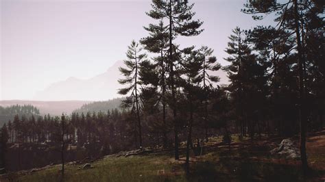 Misty foggy mountain landscape with fir forest 6120029 Stock Video at ...