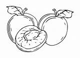 Pictures Nectarine Coloring Page  Free Printable Pages sketch template