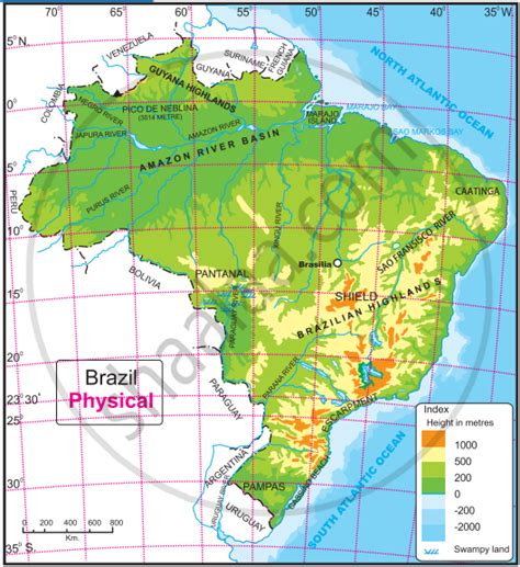 High Detailed Brazil Physical Map Stock Vector (Royalty, 51% OFF