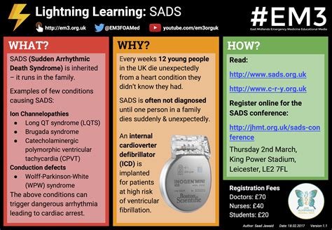 Lightning Learning: SADS — EM3