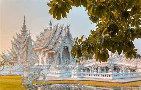 Wallpaper leaves, branches, pond, Thailand, temple, Thailand ...