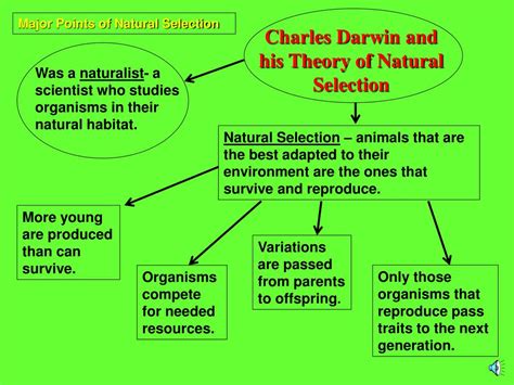 PPT - Charles Darwin The Theory of Natural Selection PowerPoint ...