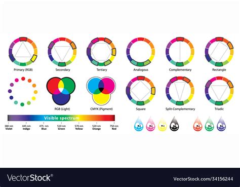 Color wheel types spectrum schemes Royalty Free Vector Image