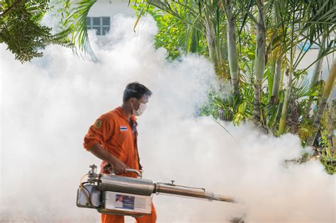 Do mosquito foggers work? Yes they do and I will show you the correct ...