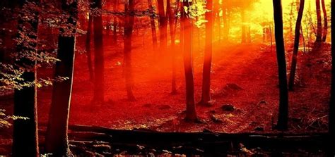 Vivaldi Four Seasons Autumn 3 Allegro | Classical Music Ringtones