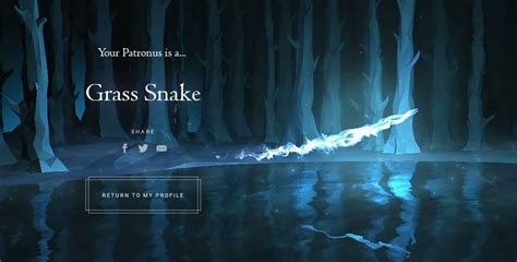 My Patronus // Grass Snake | Harry Potter Amino