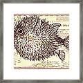 Puffer Fish Drawing by Dawn Rosendahl - Fine Art America