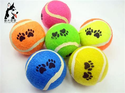 Pet dog toys tennis ball hard elastic color-in Dog Toys from Home ...