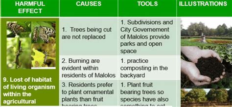 Loss of habitat as harmful effect in the environment | Download ...