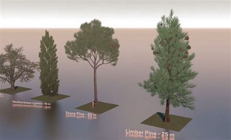 Animated comparison of tree sizes / Boing Boing