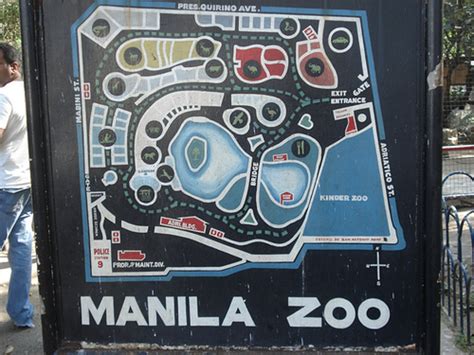 Manila Zoo in the Philippines | HubPages