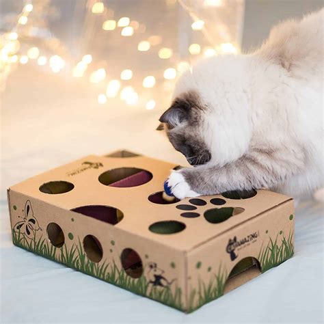 6 DIY Cat Puzzle Feeders