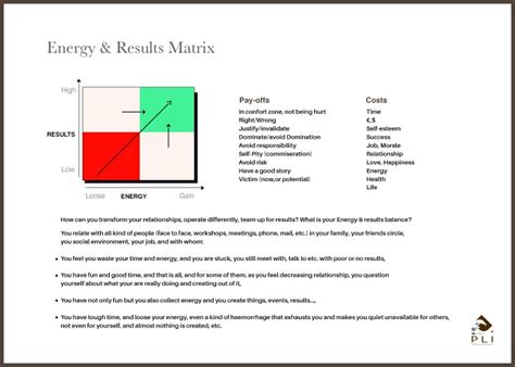 Energy & Results Matrix | PLI Performance & Leadership Institute | TEAM ...