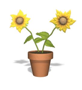 Sunflowers Dancing | 3D Animated Clipart for PowerPoint ...