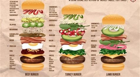 Burger Ingredients Explained - Cliparts.co