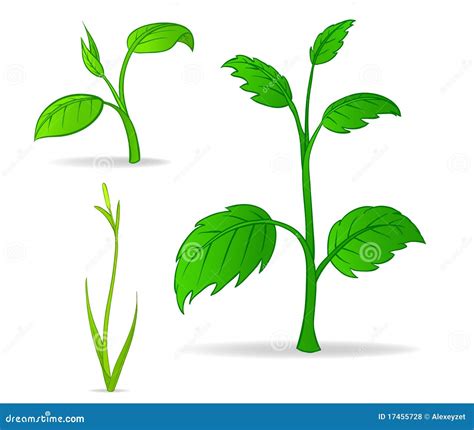 Set Of Green Cartoon Plants Vector Illustration | CartoonDealer.com #17455728