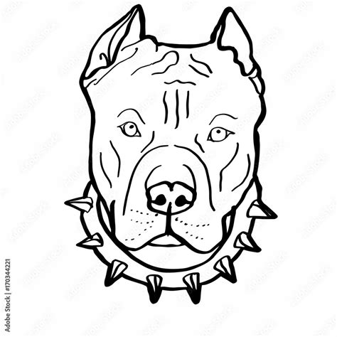 pitbull colouring Stock Illustration | Adobe Stock