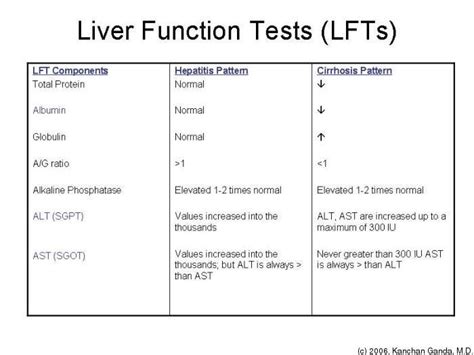 Pin on Hepatic System