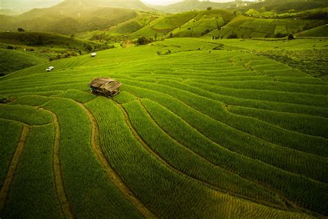 China, nature, village, landscape, forest, morning, hills, Asia, terraced field, rice paddy ...