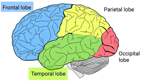 What is Frontotemporal Dementia or Frontotemporal Lobar Degeneration?