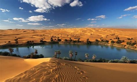 Egypt agrees to develop Siwa Oasis with total cost of LE 725M - EgyptToday