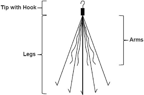 Components of some inferior vena cava filter include the tip with a... | Download Scientific Diagram