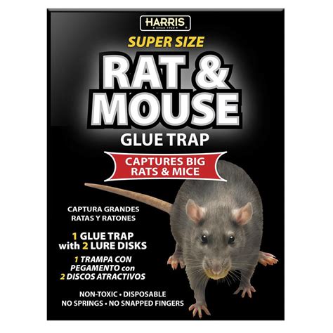 Harris Rat and Mouse Glue Trap - Super Size with Lure-BLKRAT-1 - The ...