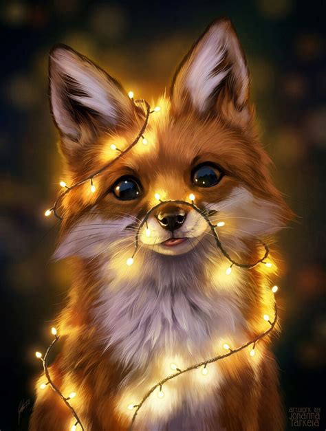 - Foxes #noël #noël cadeaux #noël décoration | Cute animal drawings, Cute animals, Animals beautiful