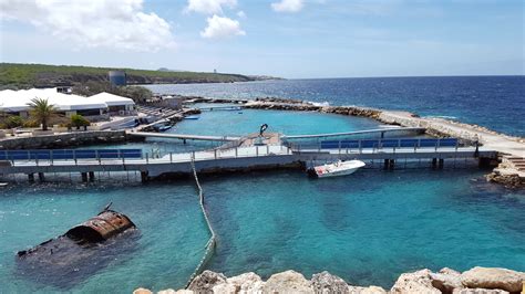 Royal Resorts Sea Aquarium Curacao- About the Resort - Royal ResortsThe Royal Sea AquariumCuracao