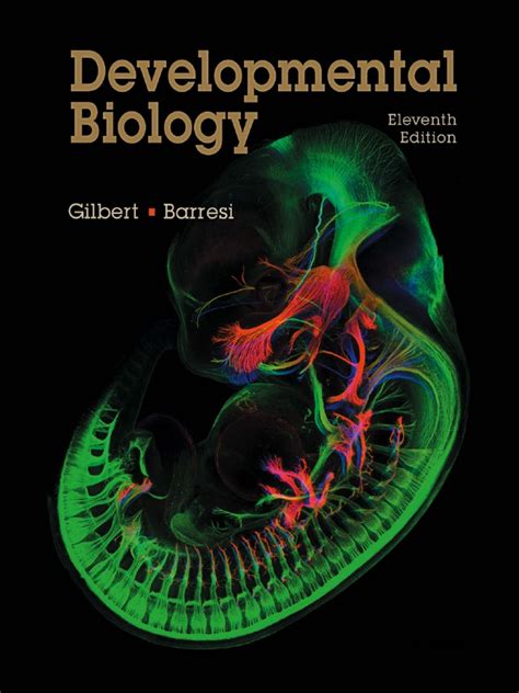 Developmental Biology | PDF | Reproduction | Biological Processes